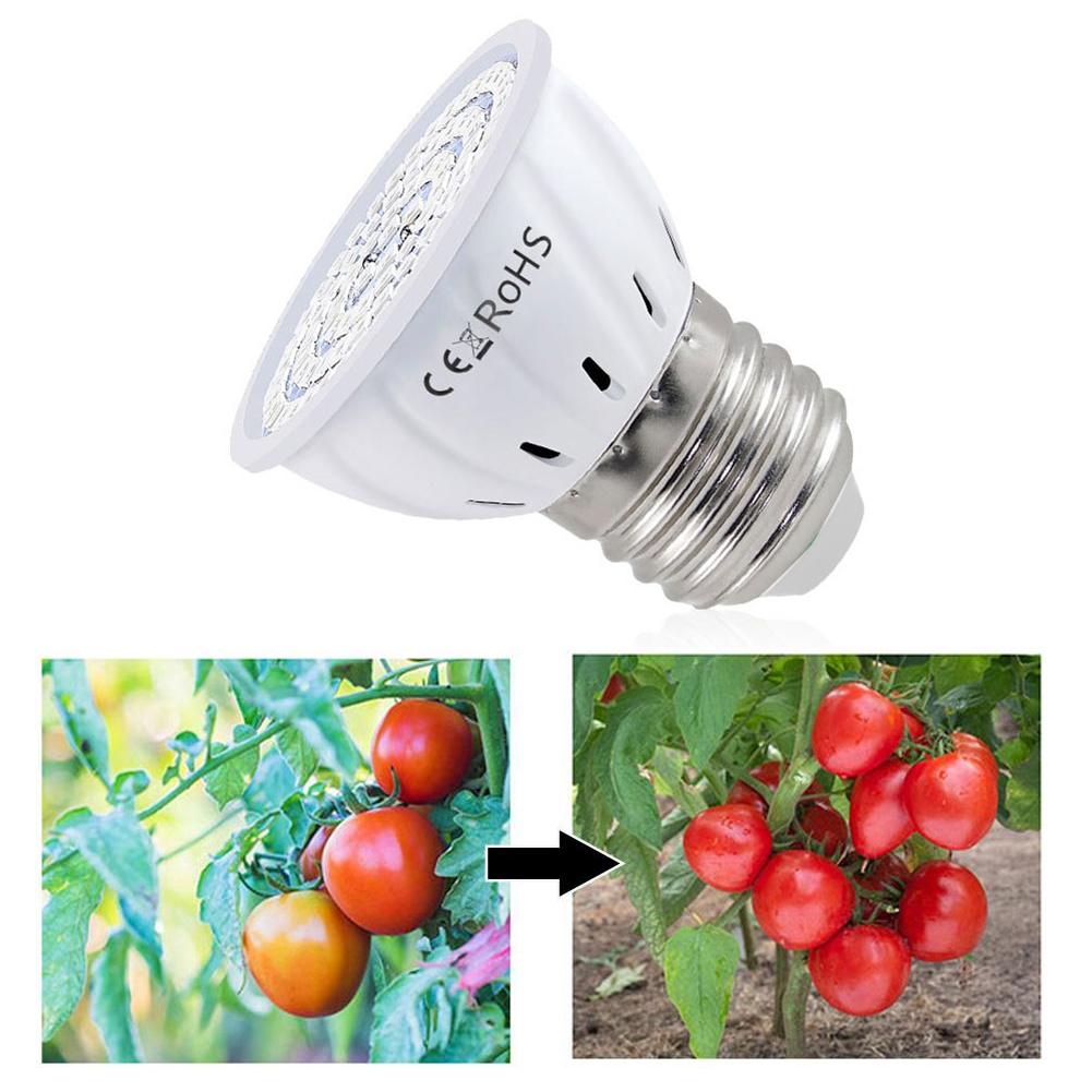 Plant Grow Light Full Spectrum - Bombilla LED de Cultivo E27 60