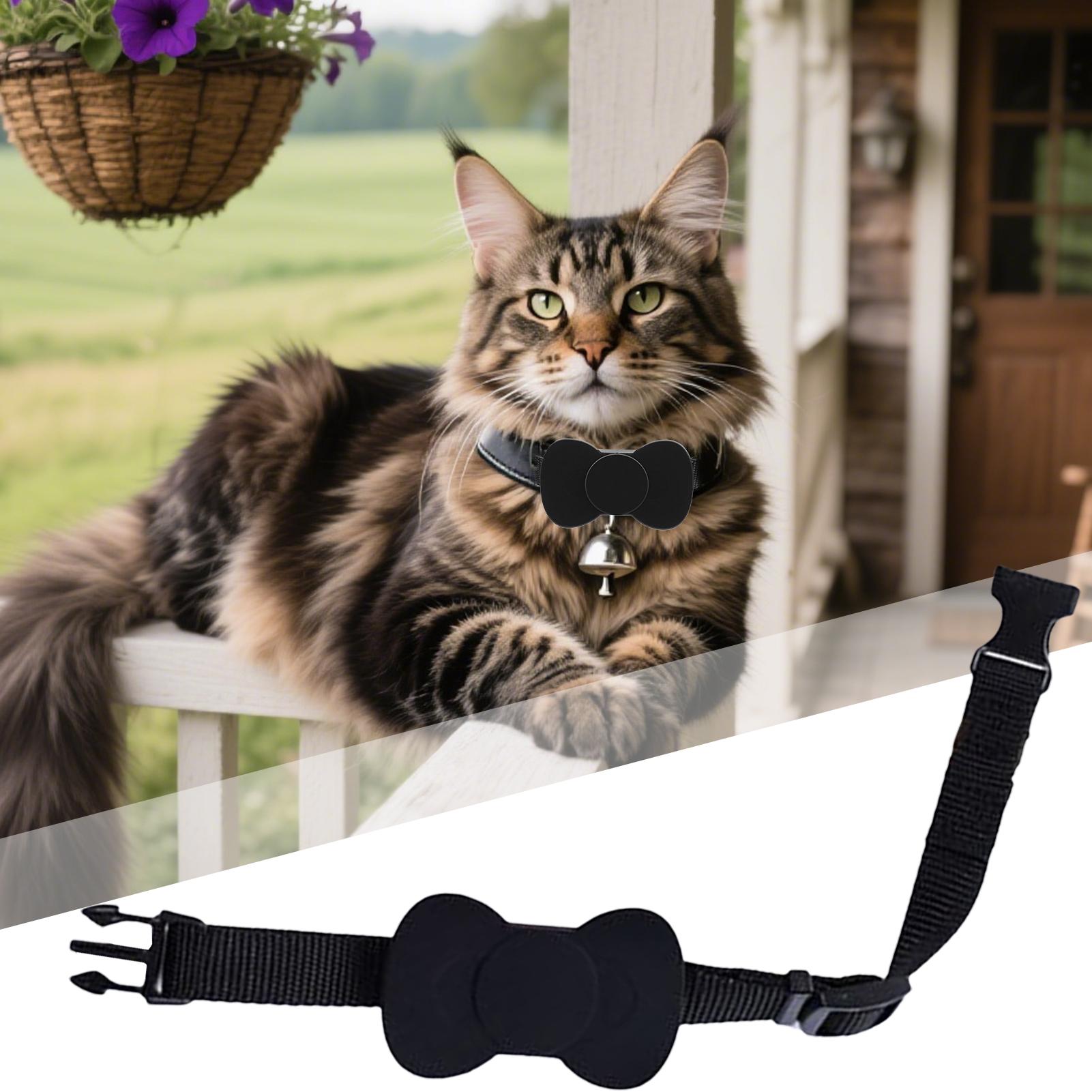 Collar GPS para gatos, disposi - Smart Garden Devices reseña y precio