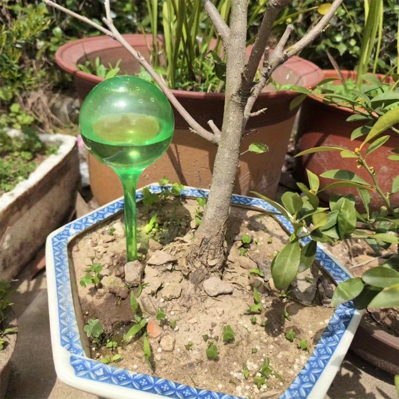 6 Bolas de Riego Automático pa - Smart Garden Furniture reseña y precio