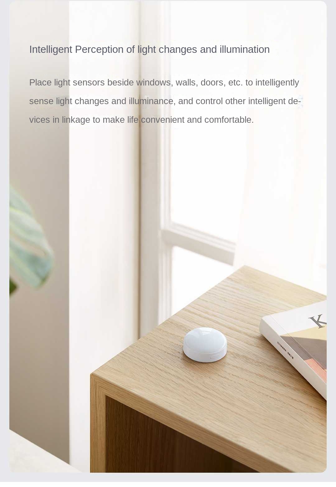 Sensor de luz Aqara T1 Zigbee  - Smart Garden Xiaomi reseña y precio