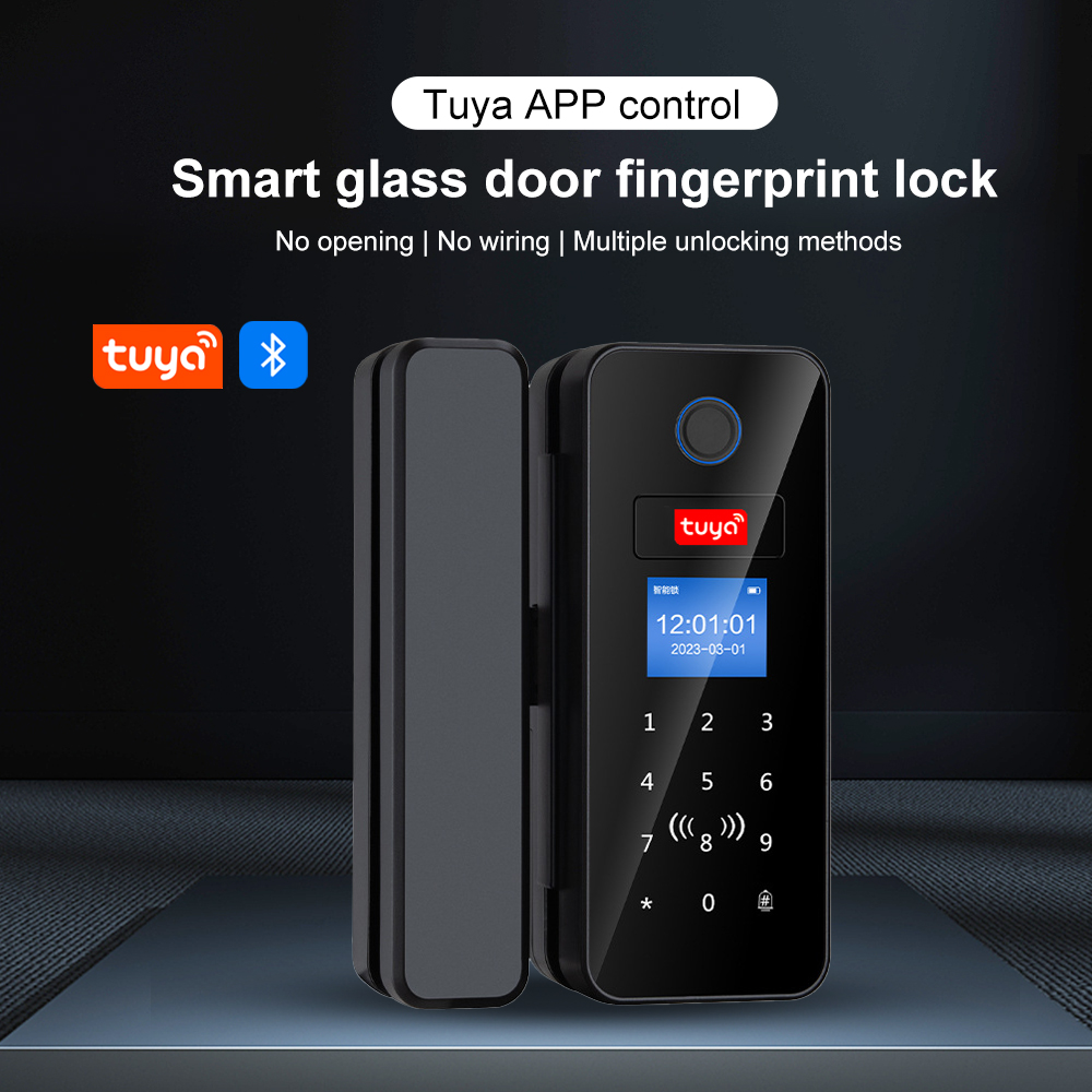 Cerradura de puerta de vidrio  - Smart Garden Gate Lock reseña y precio