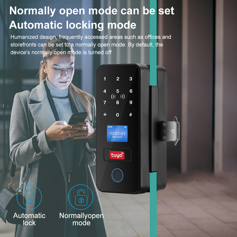 Cerradura de puerta de vidrio  - Smart Garden Gate Lock reseña y precio