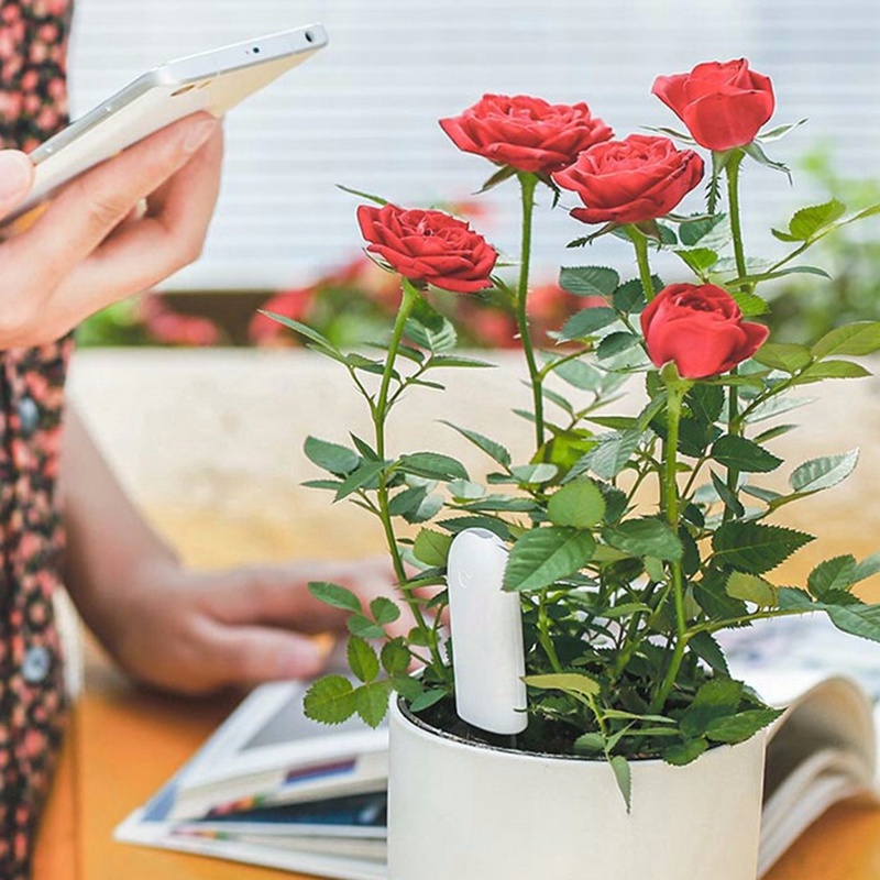 HHCC-Monitor inteligente para  - Smart Garden Xiaomi reseña y precio