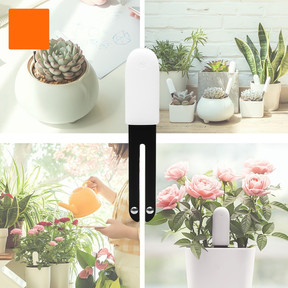HHCC-Monitor inteligente de fl - Smart Garden Xiaomi reseña y precio