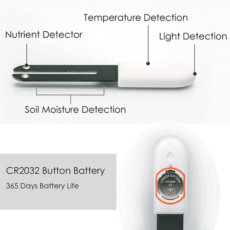 HHCC-Monitor de flores para el - Smart Garden Xiaomi reseña y precio