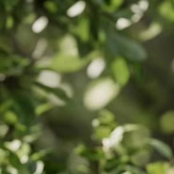 Sensor de Lluvia Inteligente C - Smart Garden Devices reseña y precio